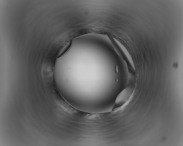 X0000091070186200708201418