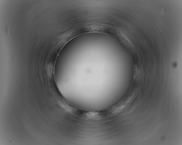 X0000091070189200708201418