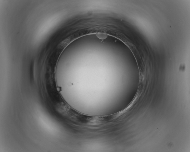 X0000091070191200708201418