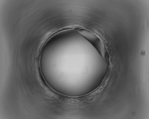 X0000091070193200708201417