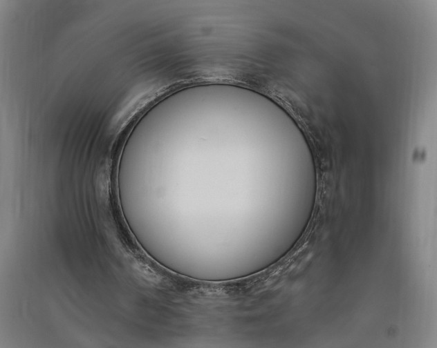 X0000091070194200708201417