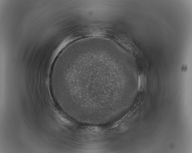 X0000091070195200708201417