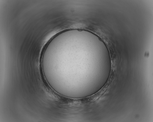 X0000091070196200708201417