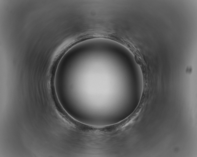 X0000091070197200708201417