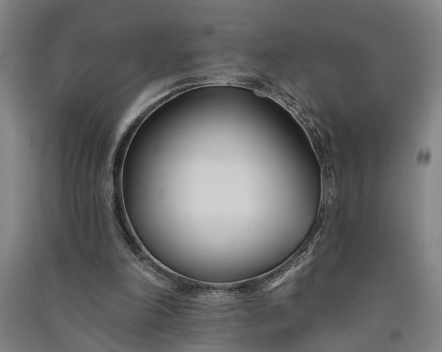 X0000091070198200708201417