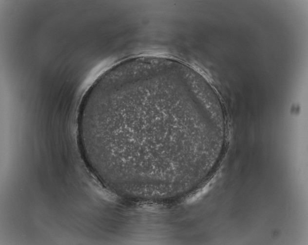 X0000091070199200708201417