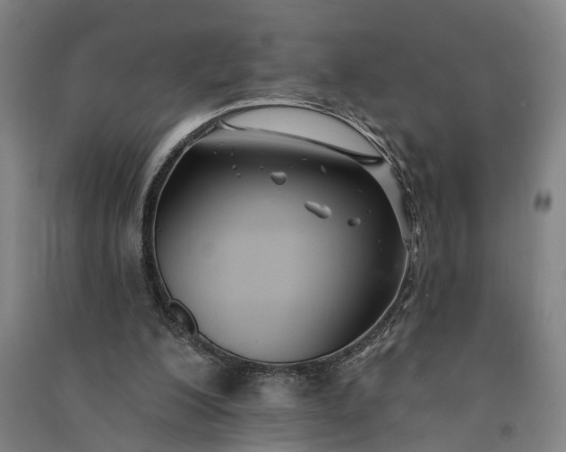 X0000091070200200708201417