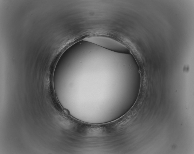 X0000091070202200708201417