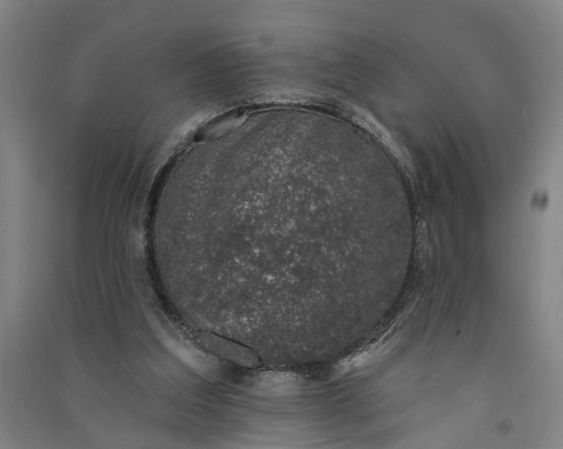 X0000091070203200708201417