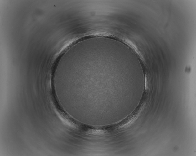 X0000091070205200708201417