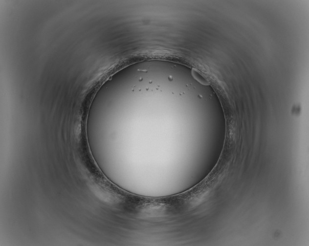 X0000091070206200708201417