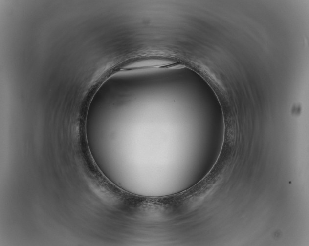 X0000091070207200708201417