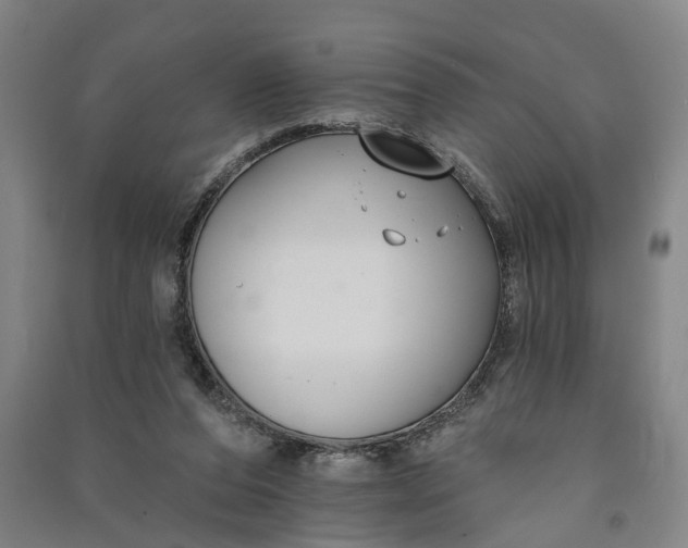 X0000091070208200708201417