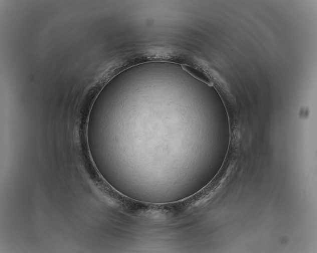 X0000091070209200708201417