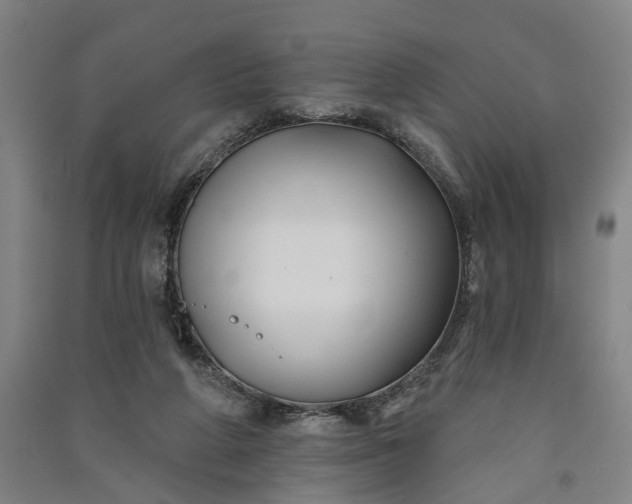 X0000091070210200708201417