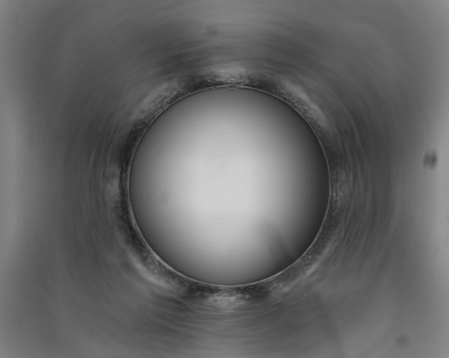 X0000091070213200708201417