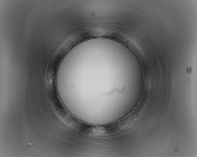 X0000091070214200708201417