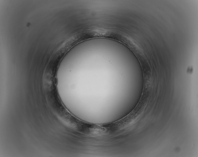 X0000091070215200708201417