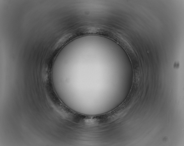 X0000091070216200708201417