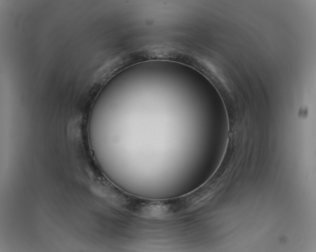 X0000091070217200708201417