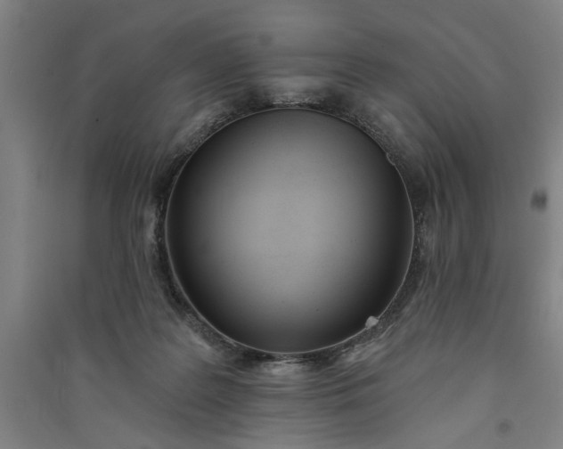 X0000091070219200708201417