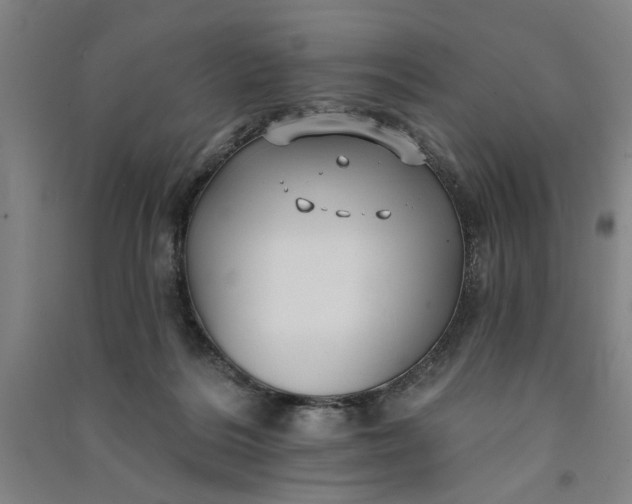 X0000091070220200708201417