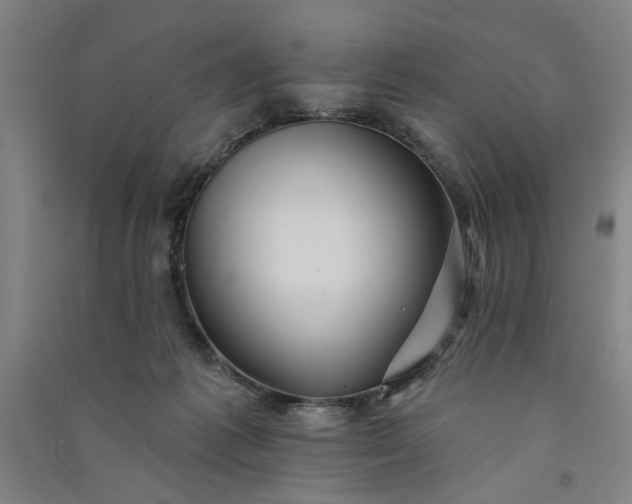 X0000091070221200708201417