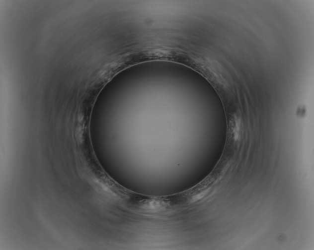 X0000091070223200708201417