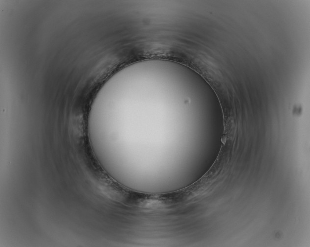 X0000091070224200708201417