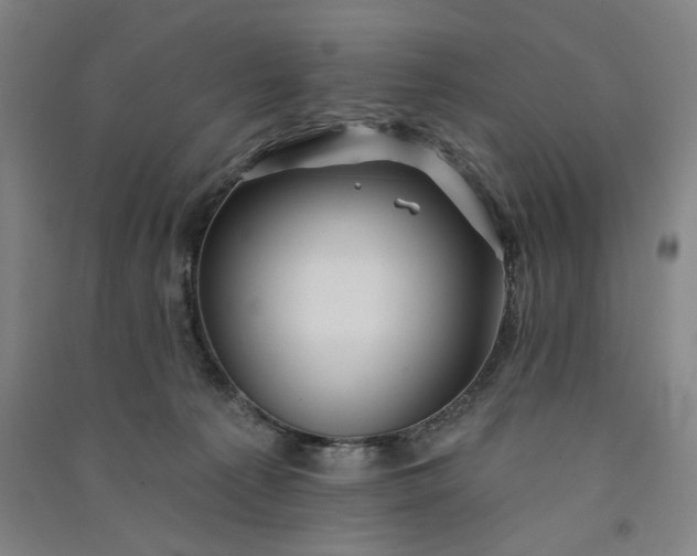 X0000091070225200708201417