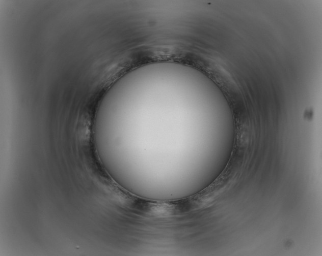 X0000091070226200708201417