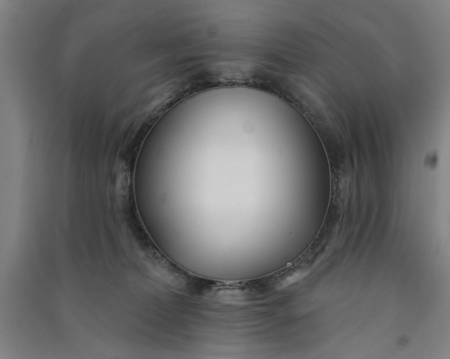 X0000091070228200708201417