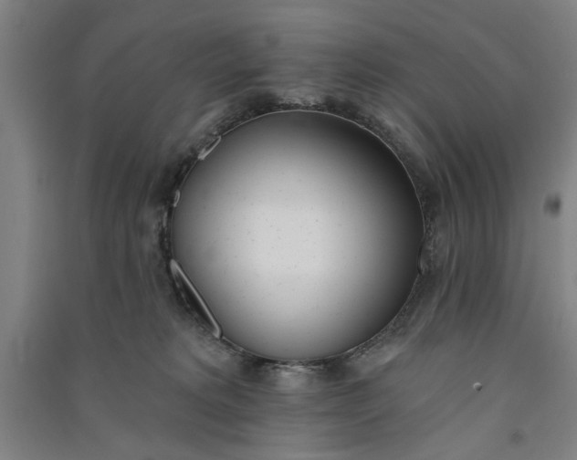 X0000091070229200708201417