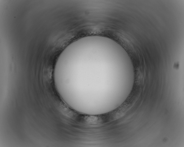 X0000091070230200708201417