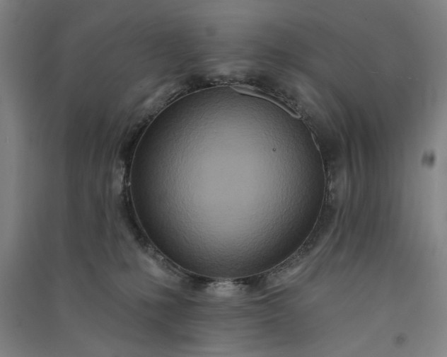 X0000091070231200708201417