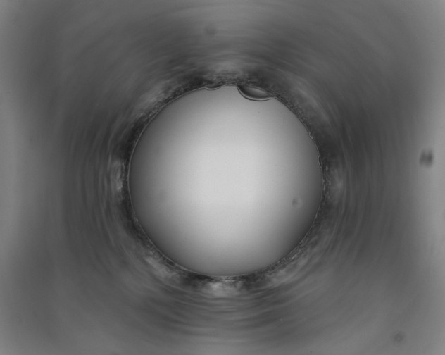 X0000091070232200708201417