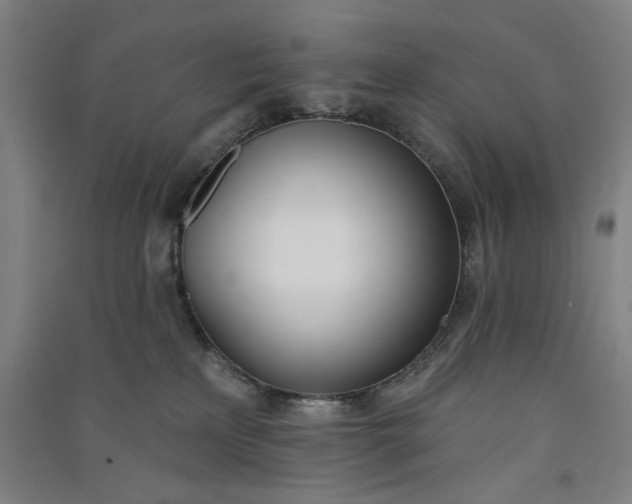 X0000091070233200708201417