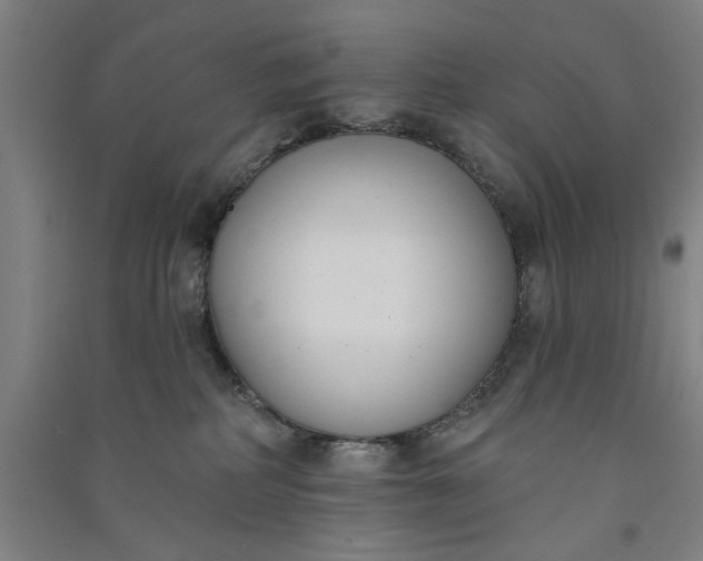 X0000091070234200708201417