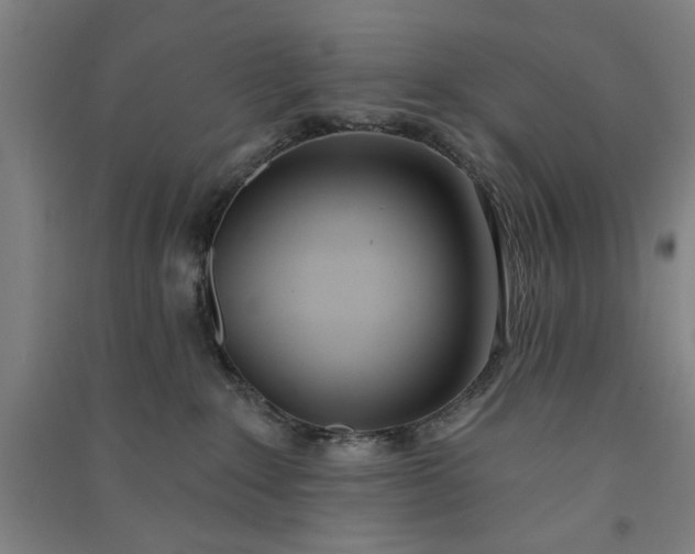 X0000091070235200708201417