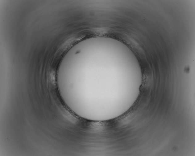 X0000091070238200708201417