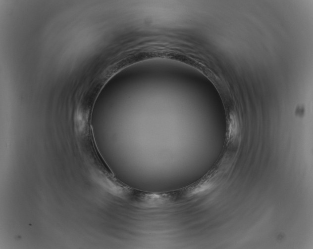 X0000091070239200708201417