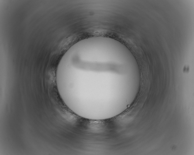 X0000091070240200708201417