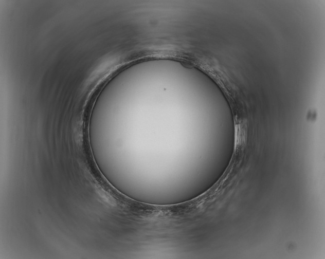 X0000091070243200708201416