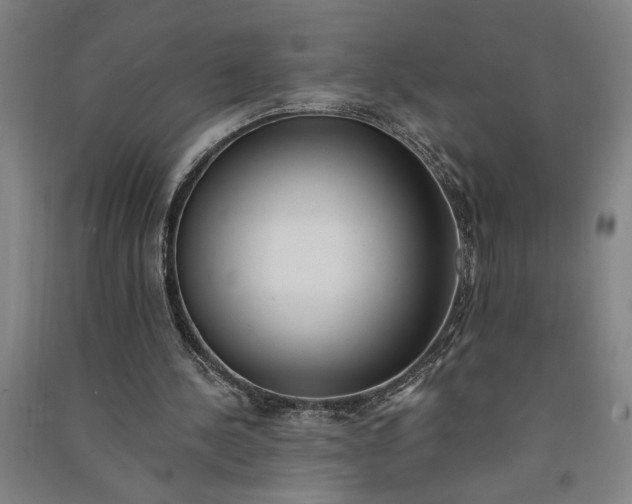 X0000091070244200708201416