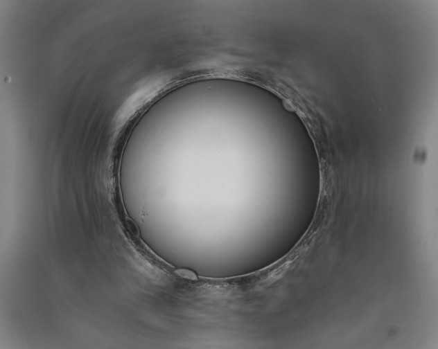 X0000091070245200708201416