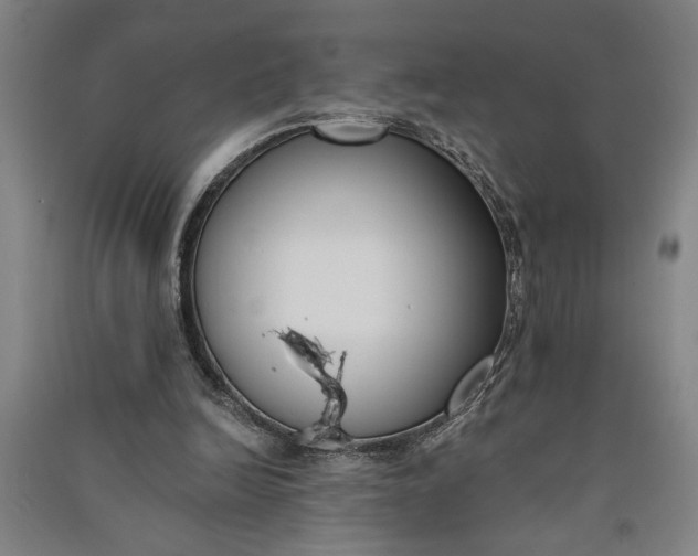 X0000091070246200708201416