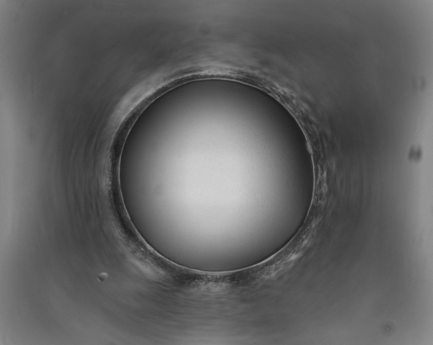 X0000091070247200708201416