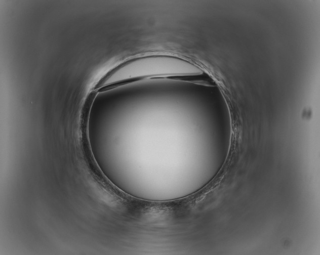 X0000091070248200708201416