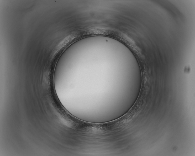 X0000091070250200708201416