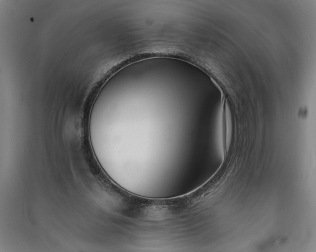 X0000091070252200708201416